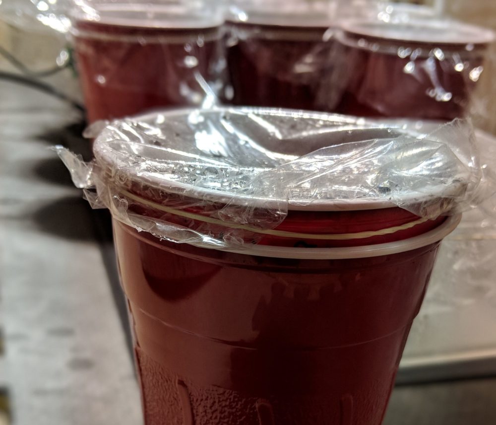 Growing Peppers: Double Solo Cup Pseudo-Hydroponics Method